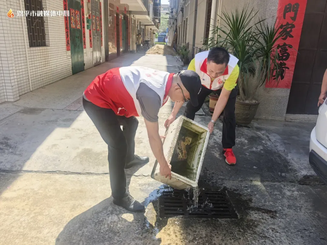 股票股票配资 全民全域灭蚊，恩城在行动